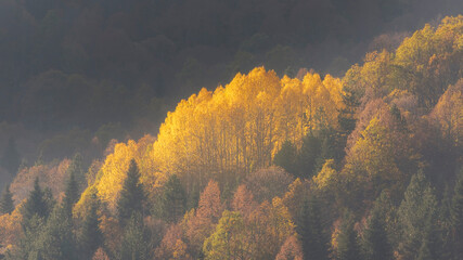 sunrise in the mountains