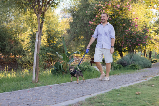 Smiling middle-aged man walks and plays with a small dog in public park