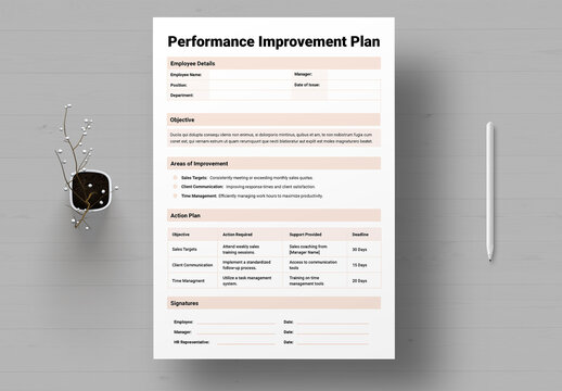 Performance Improvement Plan