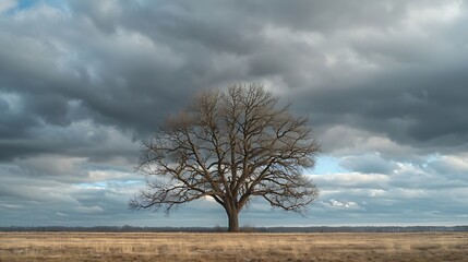 A solitary winter tree stands resiliently against the backdrop of brooding dark clouds its bare branches reaching skyward like intricate veins against the impending storm a stark yet c : Generative AI