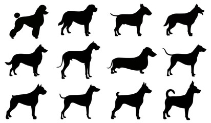 Different Dog Breeds silhouette vectors. isolated on white background. © Vector Vander