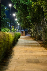 street walking path with tree at evening from low angle