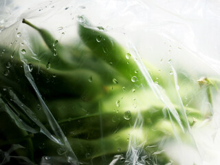 close-up of organic and fresh green beans in plastic bag