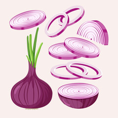Red onion isolated on white background. Whole root onion and half, slices. Vector vegetables illustration in flat style