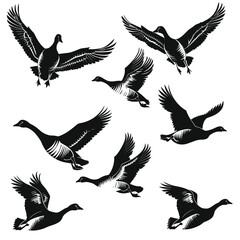 Obraz premium Silhouette illustrations of geese in various flying positions against a white background.
