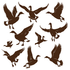 Obraz premium Silhouettes of geese in various flying and standing positions on a white background.