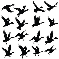 Obraz premium Silhouettes of various flying birds in different poses and angles against a white background.