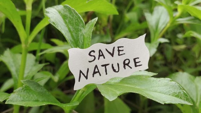 Hand putting save nature word letters text handwritten calligraphy design on white paper label note isolated on a natural green leaves nature background. Closeup macro side view.