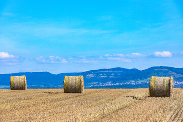 view to the swabian alb in late summer with hey balls on a sunny day