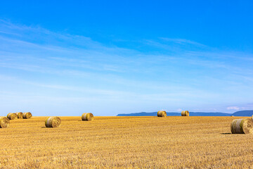 vast plane of a harvested wheat field with hey balls