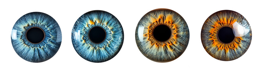Colorful human irises in macro view high detail eye anatomy study transparent background © Loony Dream Designs