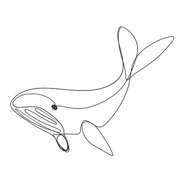 recommend clip art: Whale line art