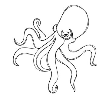 recommend clip art: Octopus line art
