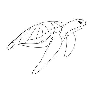 recommend clip art: Turtle line art