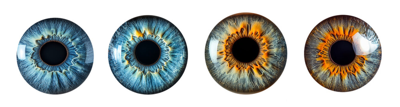 Colorful human irises in macro view high detail eye anatomy study transparent background