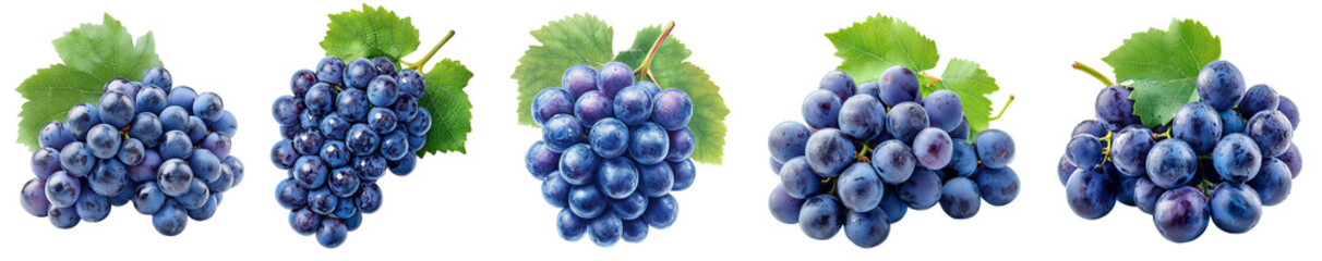 Grapes with green leaves arranged in a neat row transparent background