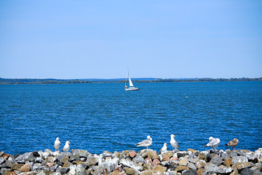 View at Lake Kummerow, in Mecklenburg Switzerland, Germany