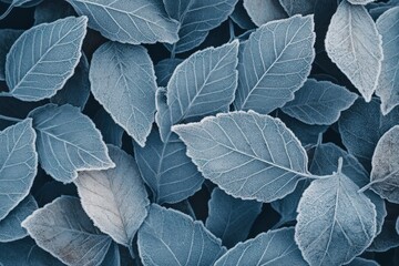 Fototapeta premium Close-up of Frosted Leaves in a Cool Blue Hue