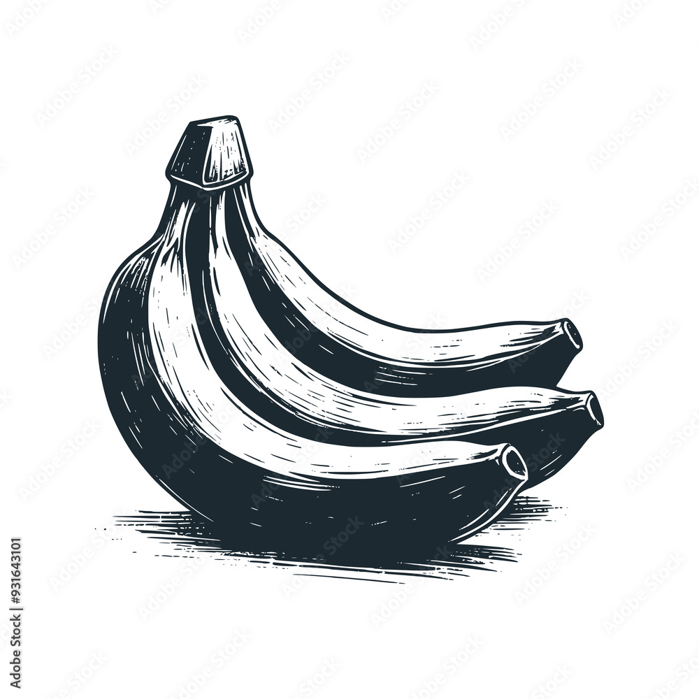 Canvas Prints The banana fruit. Black white vector logo illustration.
