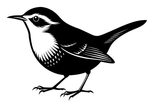 black and white bird standing, side view clip art preview