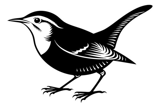 recommend clip art: wren silhouette vector illustration