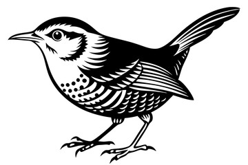 wren silhouette vector illustration