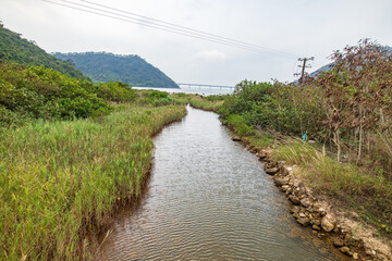 Serene River Flowing Through a Coastal Mangrove Forest