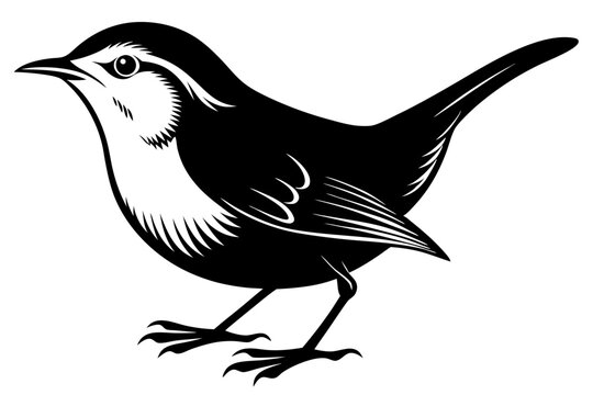 recommend clip art: wren silhouette vector illustration
