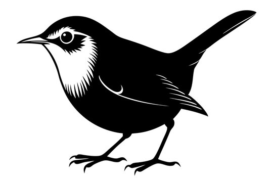 black and white bird standing, side view clip art preview
