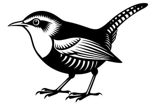 recommend clip art: wren silhouette vector illustration