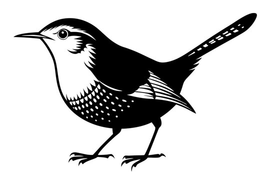 recommend clip art: wren silhouette vector illustration