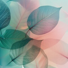 A collection of banana leaves with a translucent quality, allowing multiple layers to be visible