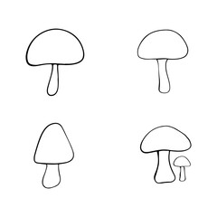 Illustration of autumn forest plants. Graphic vintage mushrooms with stars. Botanical illustrations. Witch mushrooms for Halloween. Graphic vintage doodle illustration with space magic mushrooms.