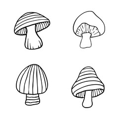 Illustration of autumn forest plants. Graphic vintage mushrooms with stars. Botanical illustrations. Witch mushrooms for Halloween. Graphic vintage doodle illustration with space magic mushrooms.