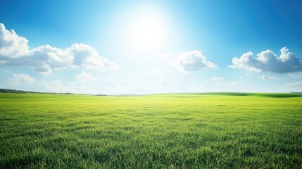 Fototapeta premium A lush green field stretches under a clear, blue sky with soft clouds, perfect for idyllic and serene backgrounds.