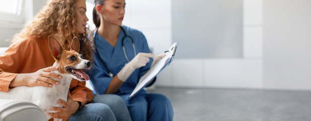 Attentive vet takes clinical notes while a pet owner lovingly strokes her happy Jack Russell...