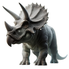 Fototapeta premium Triceratops