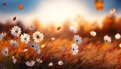 autumn, autumn leaves, leaves, flowers, autumn leaves, trees, fields, background, background paper