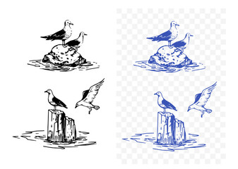 Seagulls on rocks in the sea, realistic sketch, hand drawn vector illustration