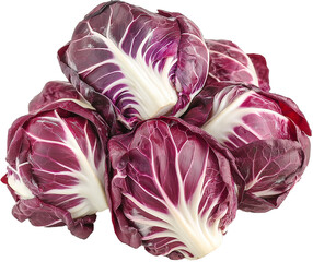 Fototapeta premium Radicchio vegetable isolated, Radicchio Plant Clipart, Few fresh radicchio Illustration