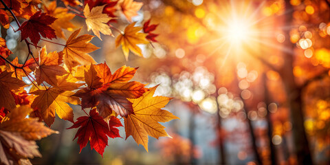 Vibrant autumn forest scene with sunlight streaming through colorful leaves against blurred background with copy space