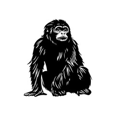 black and white animal vector types of animals about animals