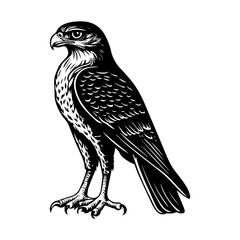 Obraz premium black and white animal vector types of animals about animals