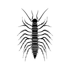 black and white animal vector types of animals about animals