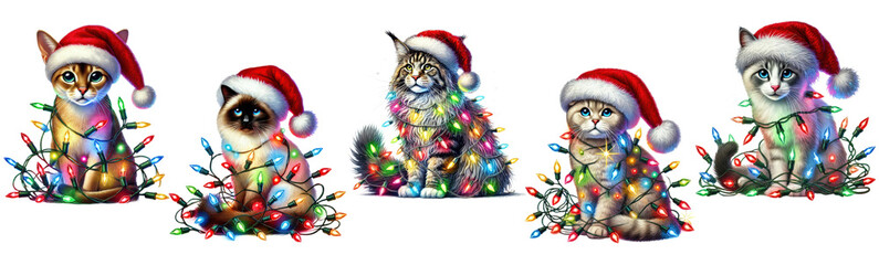 Fototapeta premium Christmas Cats in Santa Hats and Lights, festive pet isolated on transparent background