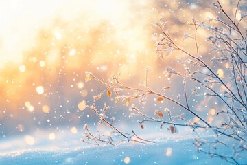 A snowy alder tree (Alnus glutinosa) branch against a defocused background. Shallow depth of field and selective focus.