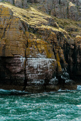 rock and sea with Pinguin 