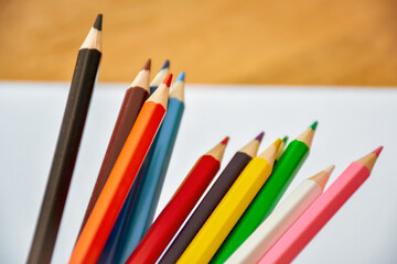 Color palette of wooden crayons