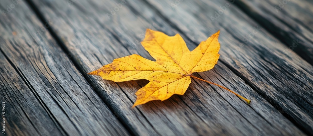 Leinwandbilder a lovely yellow autumn leaf rests on an aged wooden surface close up representing the essence of aut