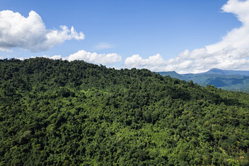 Naklejka premium Beautiful aerial view of lush green forest and mountains under cloudy sky.